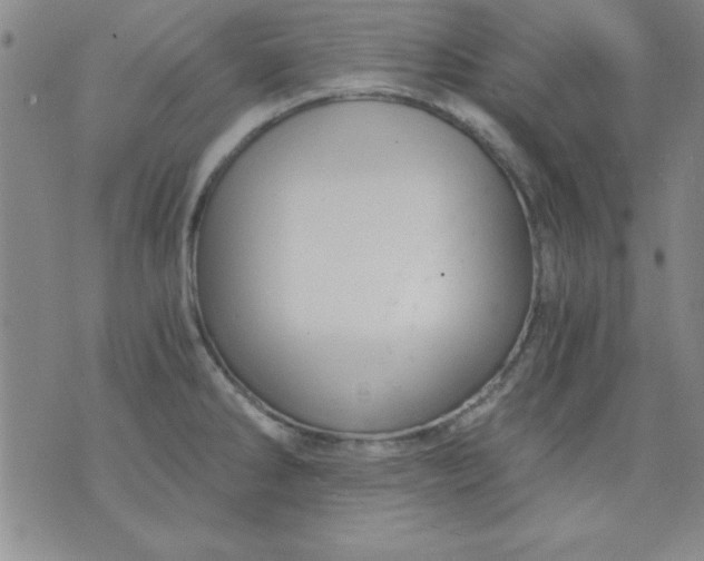 X0000071331286200607141856