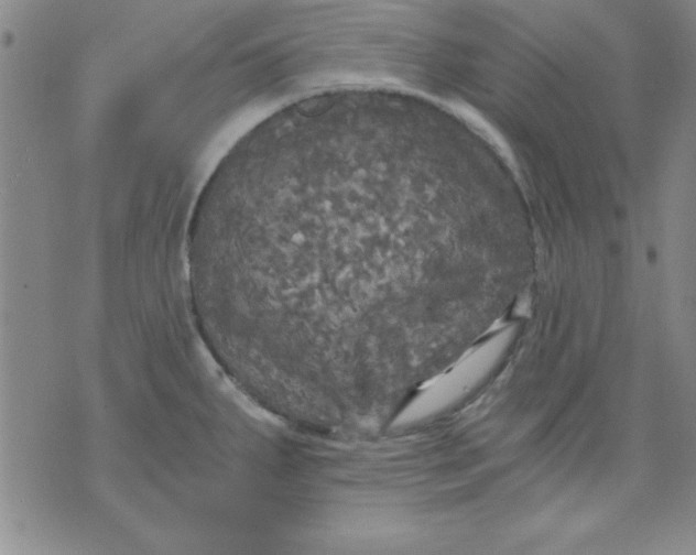 X0000071331287200607141856