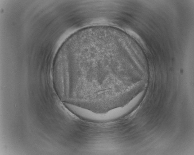 X0000071331288200607141856