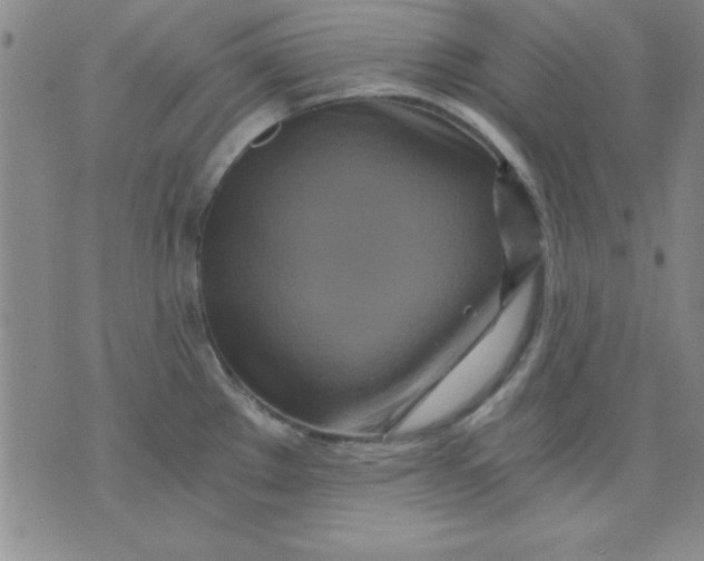 X0000071331289200607141856