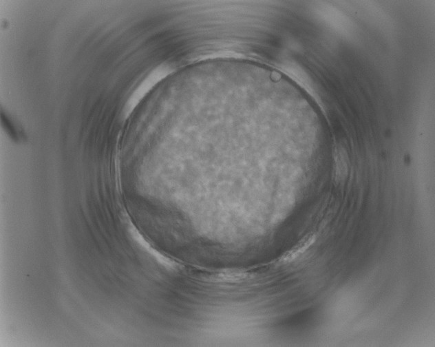 X0000071331290200607141856