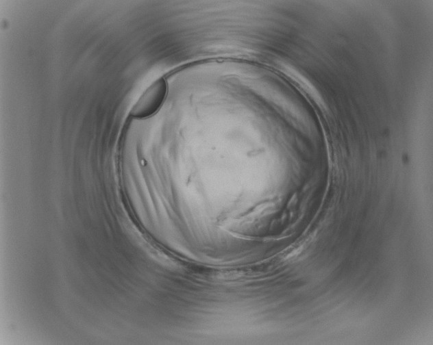 X0000071331291200607141856