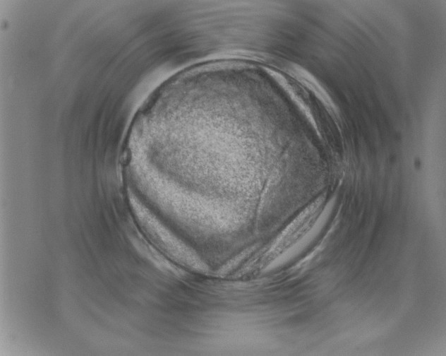 X0000071331292200607141856