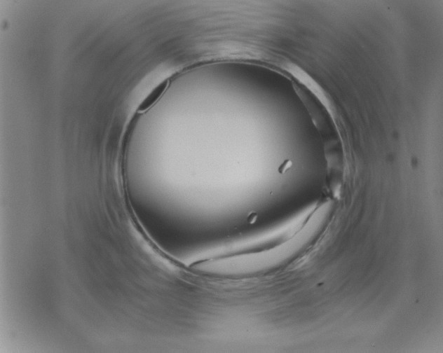 X0000071331293200607141856