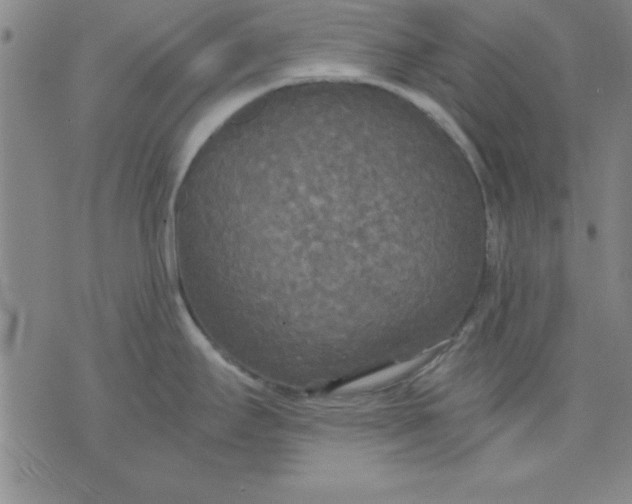 X0000071331295200607141856