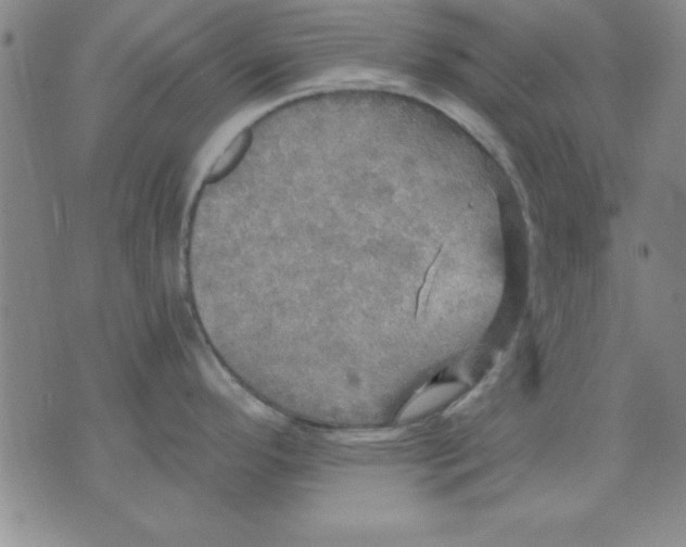 X0000071331296200607141856