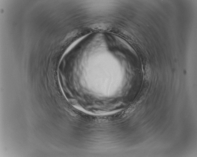 X0000071331297200607141855