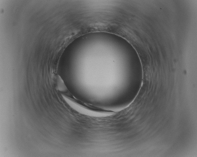 X0000071331298200607141855