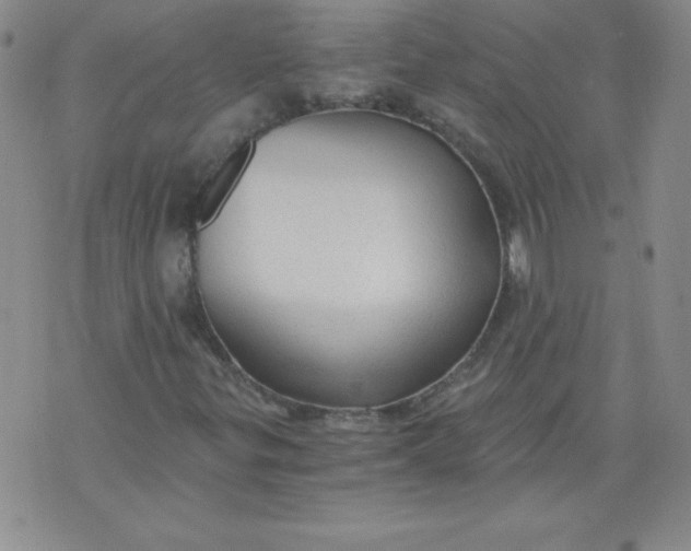 X0000071331299200607141855