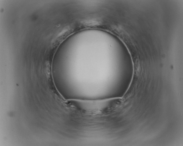 X0000071331301200607141855