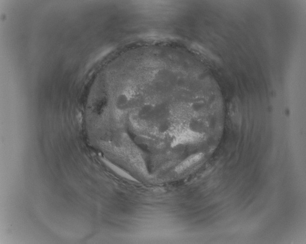 X0000071331302200607141855