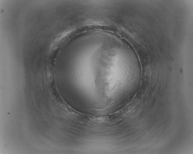 X0000071331303200607141855