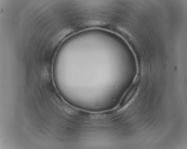 X0000071331305200607141855