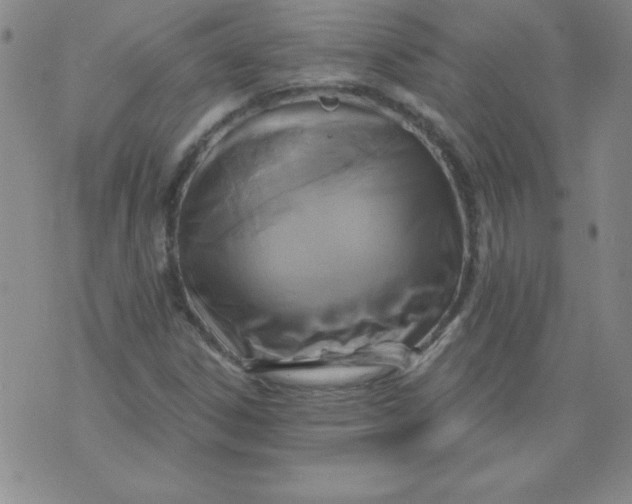 X0000071331306200607141855