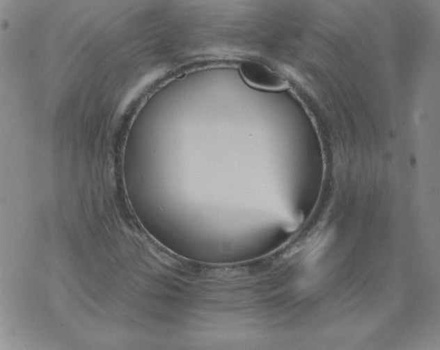 X0000071331307200607141855