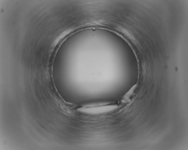 X0000071331308200607141855