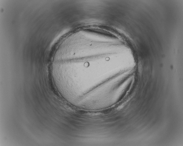 X0000071331309200607141855