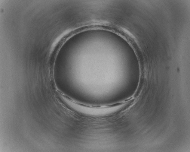 X0000071331310200607141855