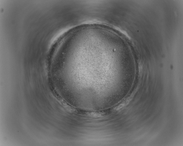 X0000071331311200607141855