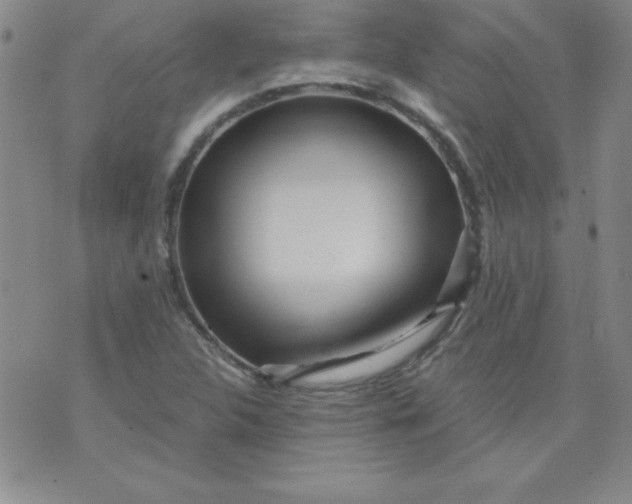 X0000071331312200607141855