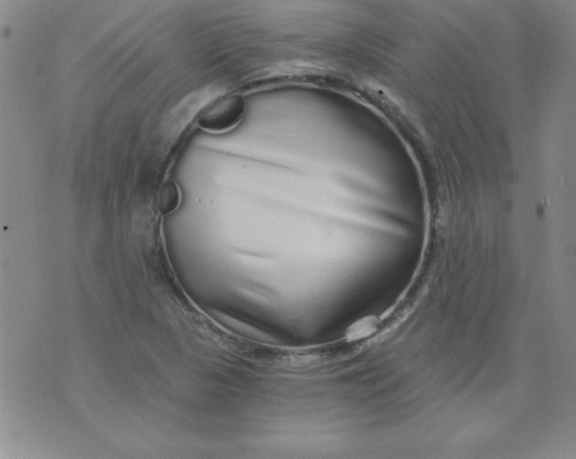 X0000071331313200607141855