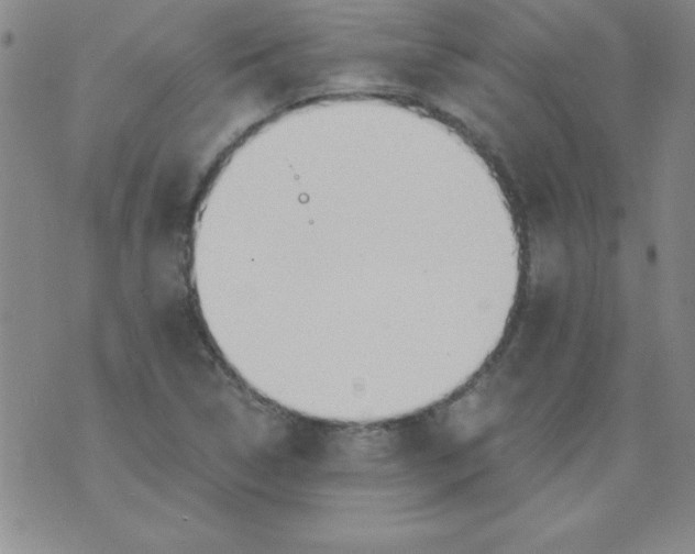 X0000071331314200607141855