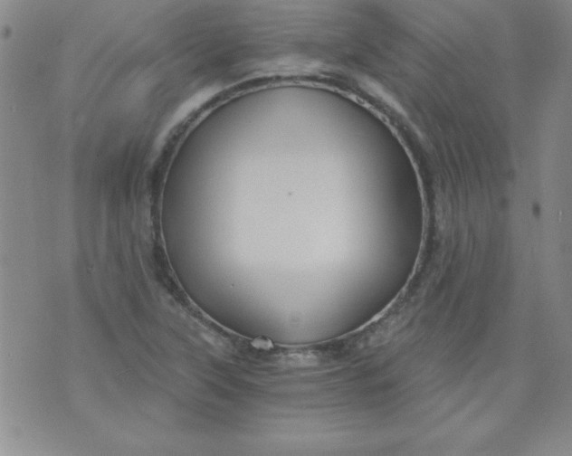 X0000071331315200607141856