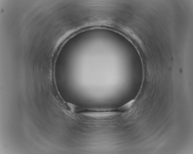 X0000071331316200607141856