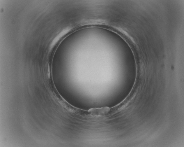 X0000071331317200607141856