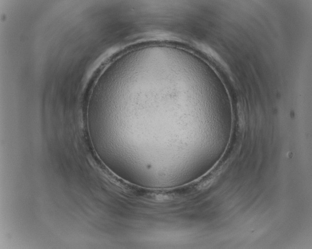 X0000071331318200607141856