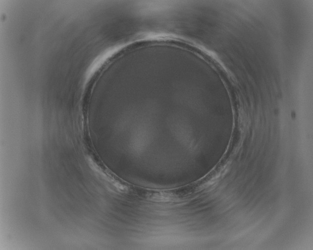 X0000071331319200607141856