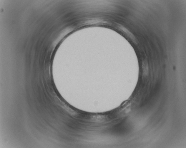 X0000071331322200607141856