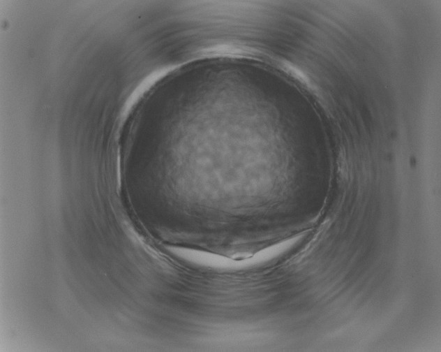 X0000071331323200607141856