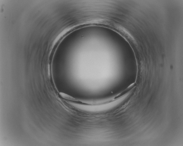 X0000071331324200607141856