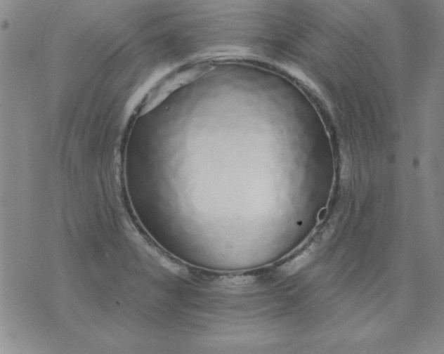 X0000071331325200607141856