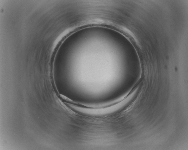 X0000071331326200607141856