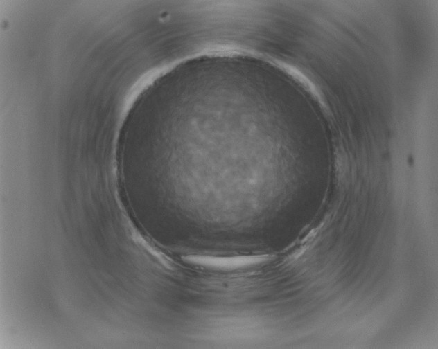 X0000071331327200607141856