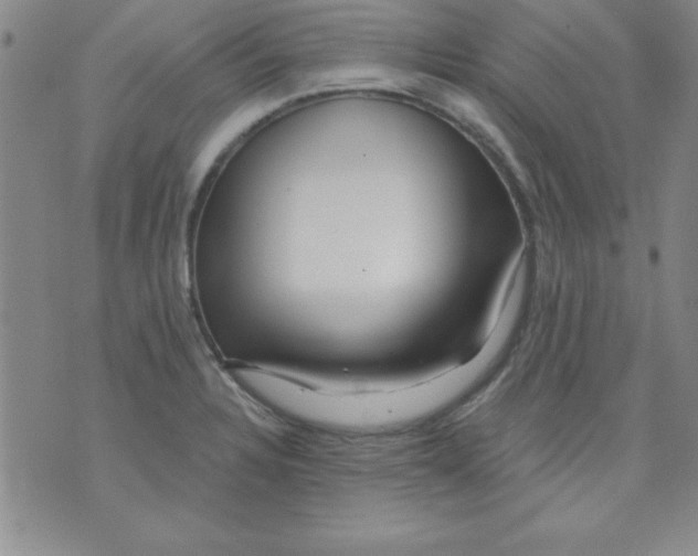 X0000071331328200607141856