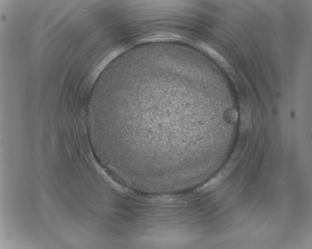 X0000071331329200607141856