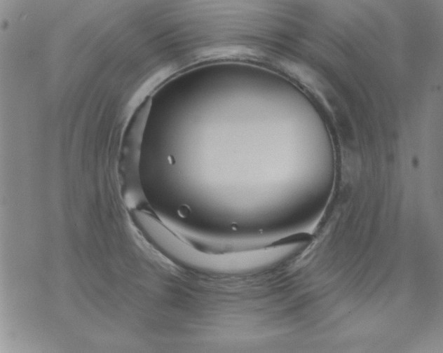 X0000071331330200607141856