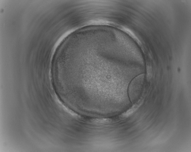 X0000071331331200607141856