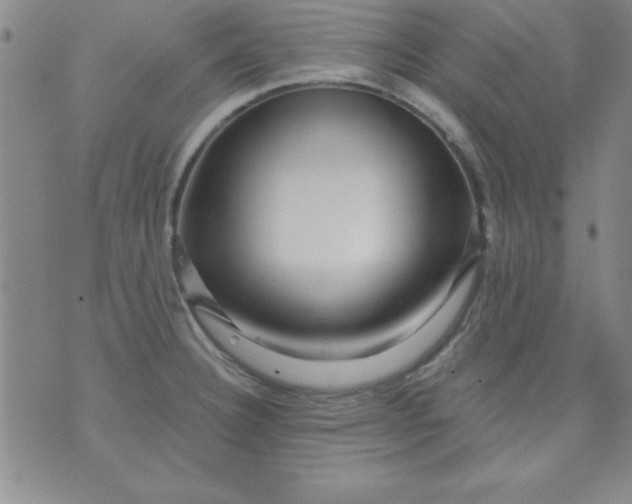 X0000071331332200607141856