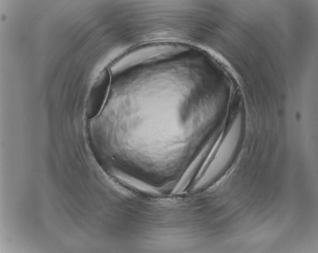 X0000071331333200607141856