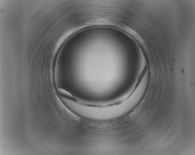 X0000071331334200607141856