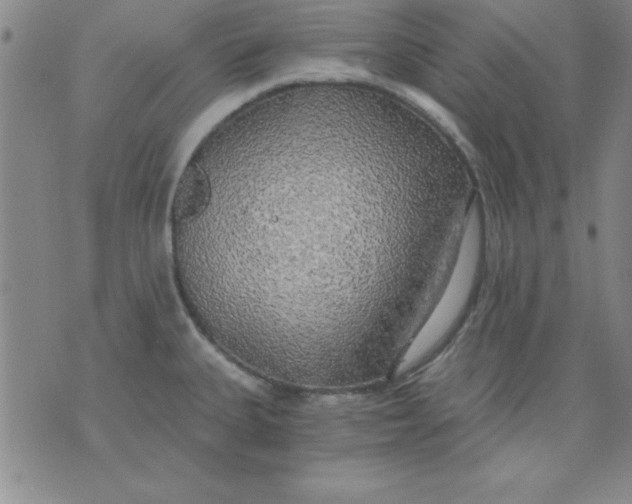 X0000071331335200607141856