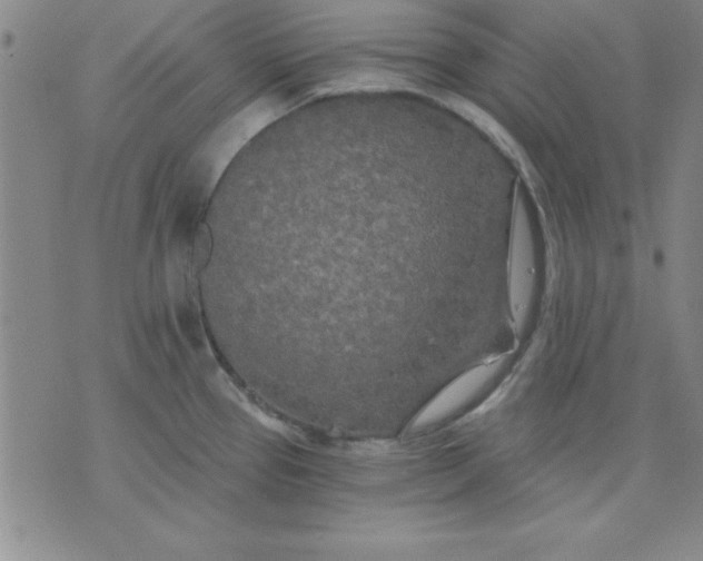 X0000071331337200607141856