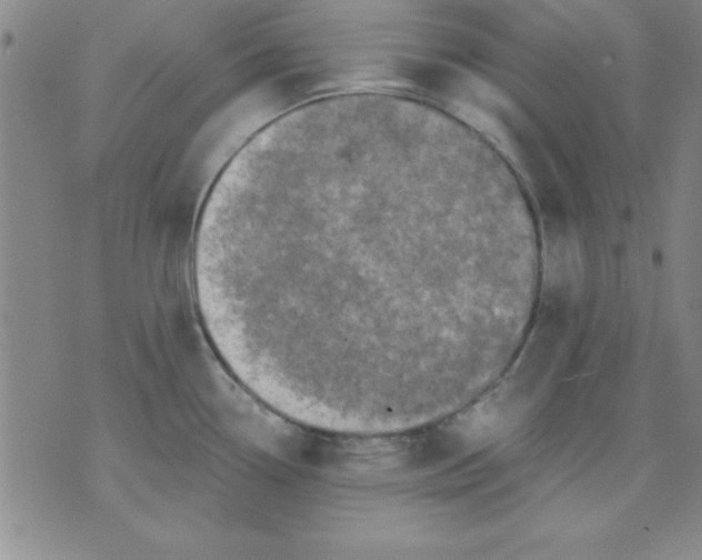 X0000071331338200607141856