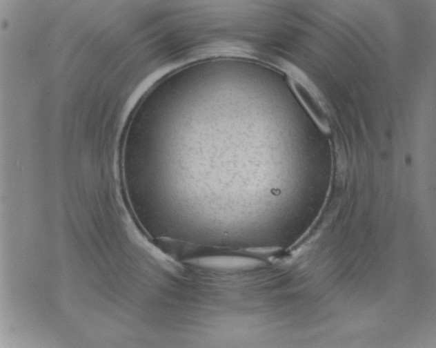 X0000071331339200607141856