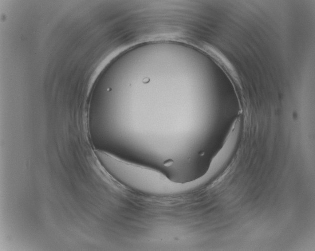 X0000071331340200607141856