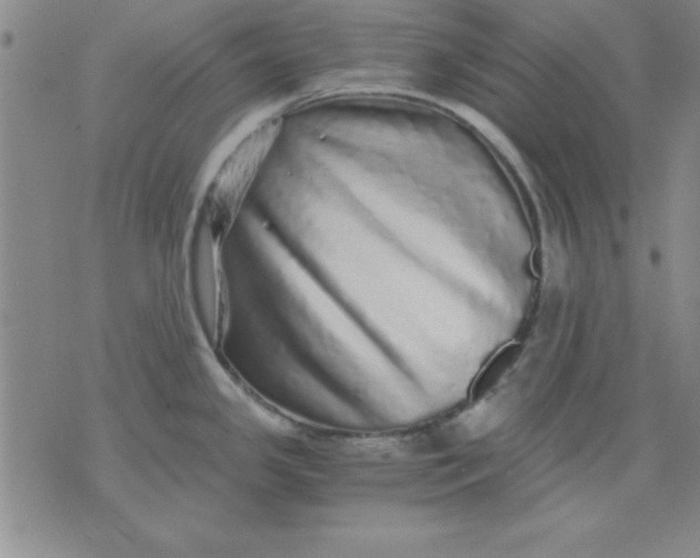 X0000071331341200607141856